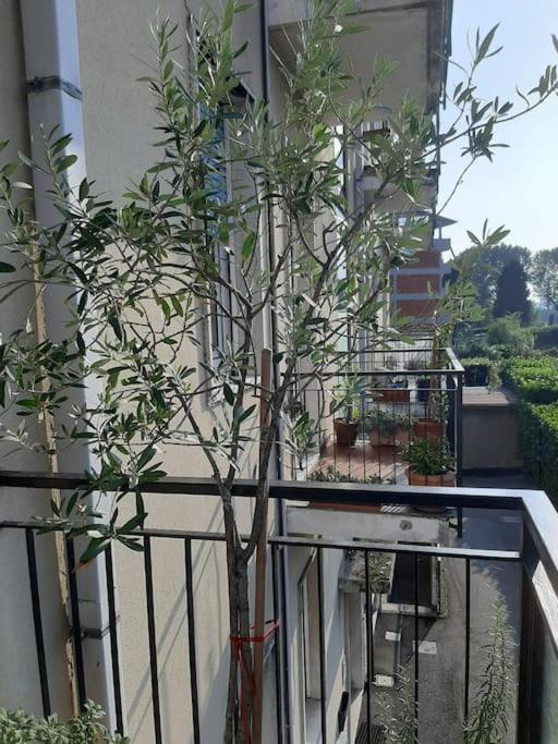 Apartmán Mice Ottima Soluzione Per Il Centro E La Svizzera Como Exteriér fotografie
